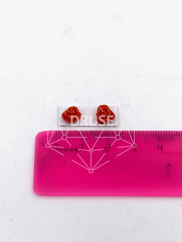 Коралл природный не окрашенный (пара)