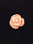 Коралл роза 12,0мм